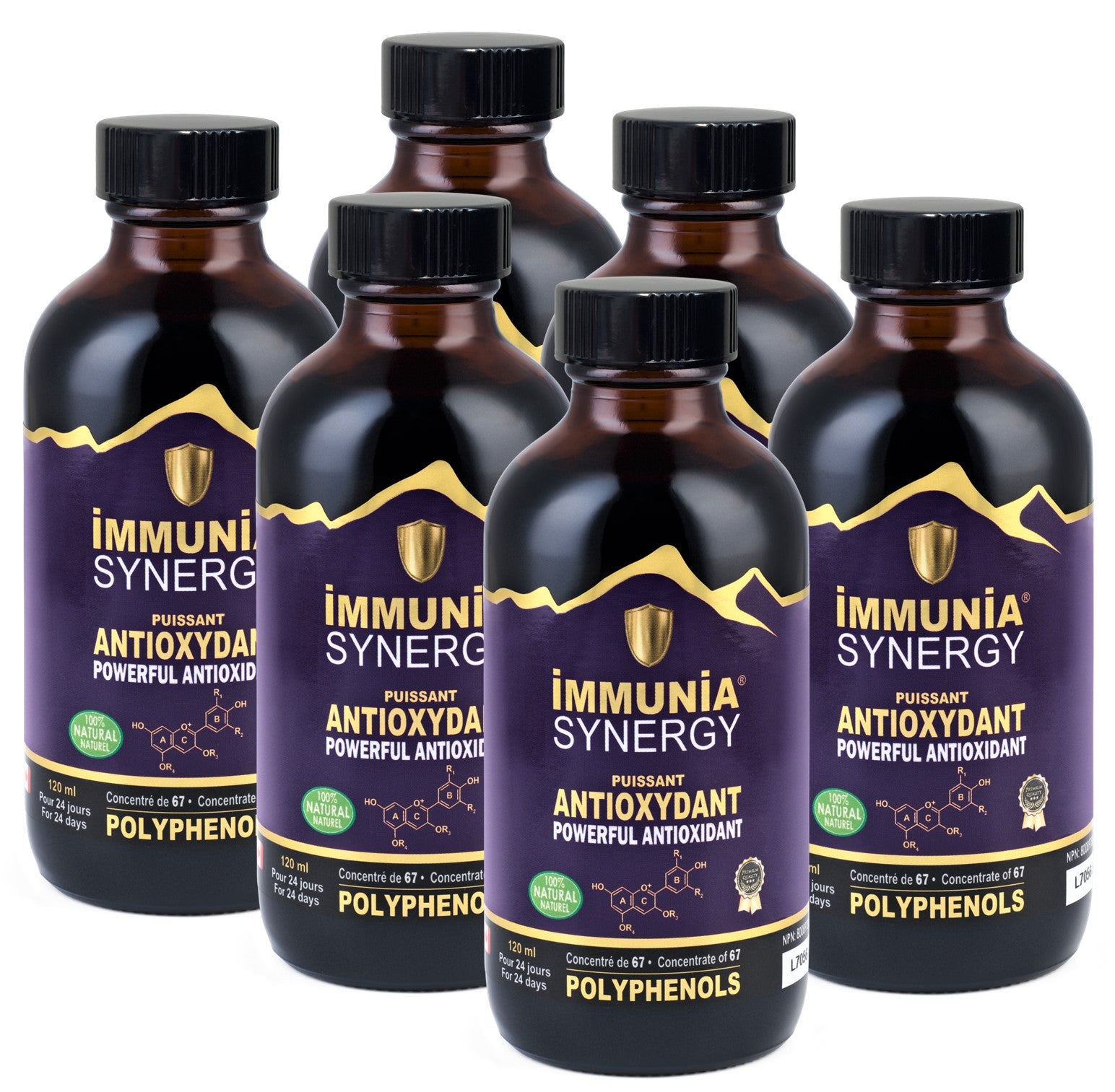 Immunia Synergy