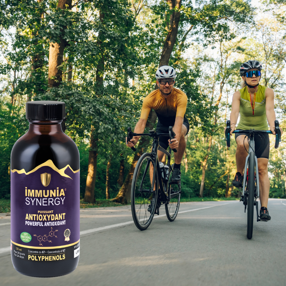 synergy concentré antioxydant canadien